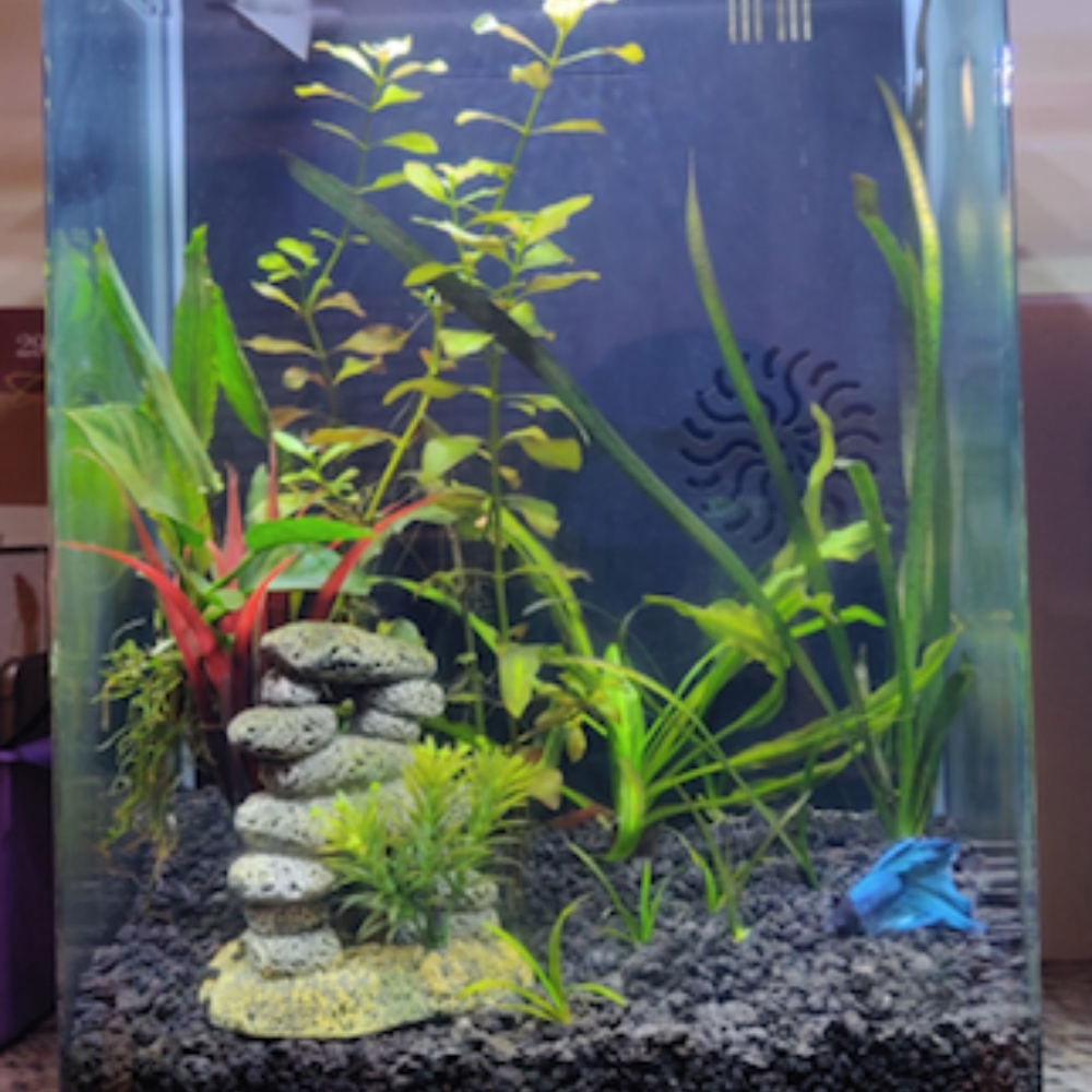 Meet your Posher, Geoffrey